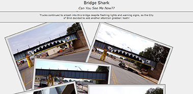 Bridge Shark Web Hub bridgeshark.com