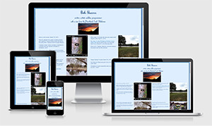 Personal Web Hub screenshot 2